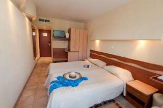 Курортные отели Cocor Spa Hotel Нептун Двухместный номер с 1 кроватью или 2 отдельными кроватями-6